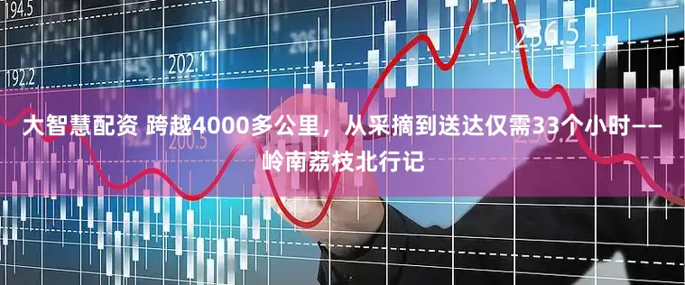 大智慧配资 跨越4000多公里，从采摘到送达仅需33个小时——岭南荔枝北行记