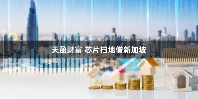 天盈财富 芯片扫地僧新加坡