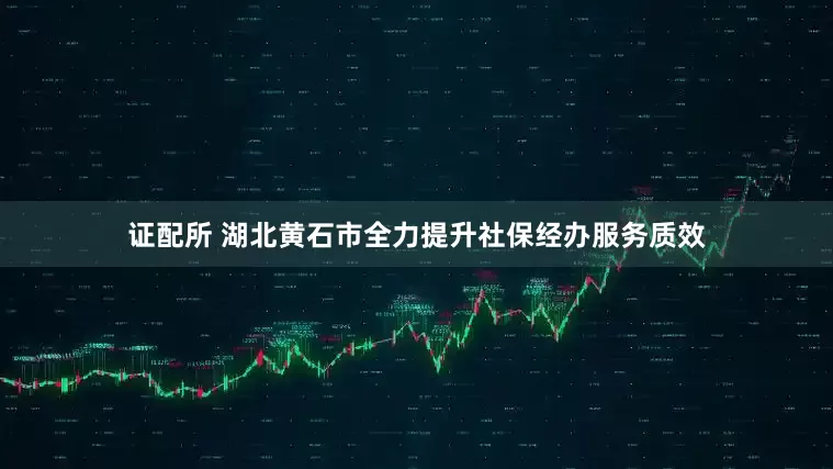 证配所 湖北黄石市全力提升社保经办服务质效