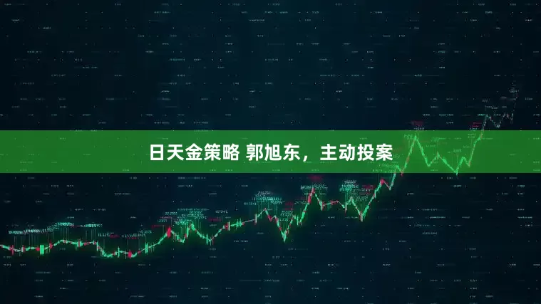 日天金策略 郭旭东，主动投案