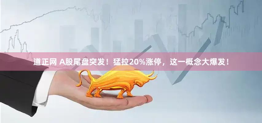 道正网 A股尾盘突发！猛拉20%涨停，这一概念大爆发！